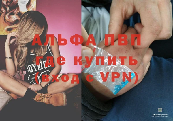 дживик Костерёво