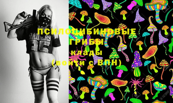 мдма Козловка